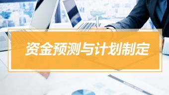 資金管理實(shí)操特訓(xùn)營 實(shí)務(wù)課程