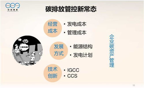 大型控排企業(yè)碳資產(chǎn)管理體系構(gòu)建與資本管理